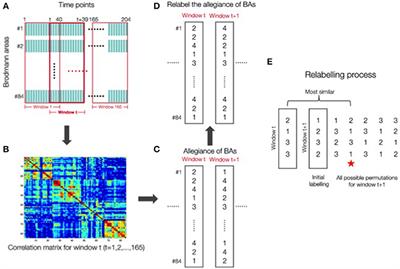 Static and Dynamic Measures of Human Brain Connectivity Predict Complementary Aspects of Human Cognitive Performance